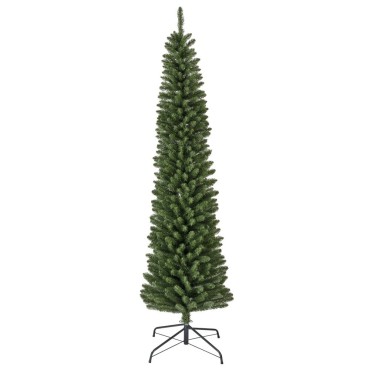 Everlands Pencil Pine Tree 7ft
