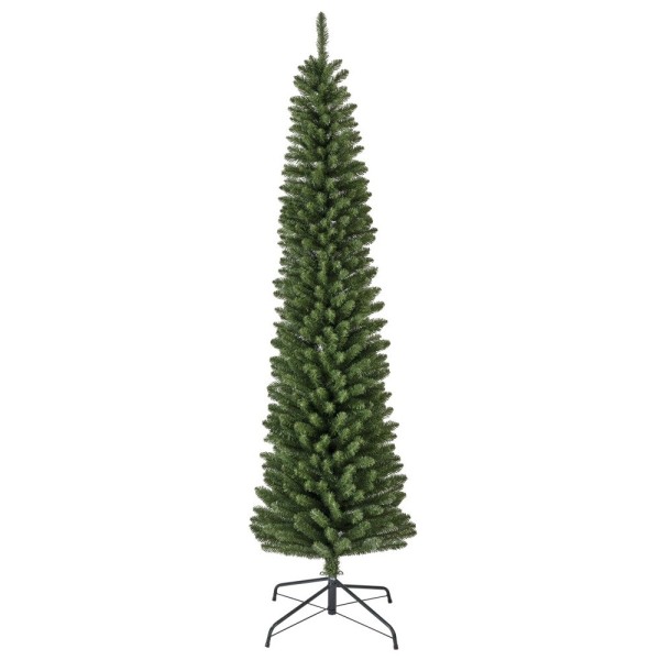 Everlands Pencil Pine Tree 7ft