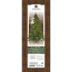Everlands Galloway Spruce Pre-Lit Christmas Tree - 7ft