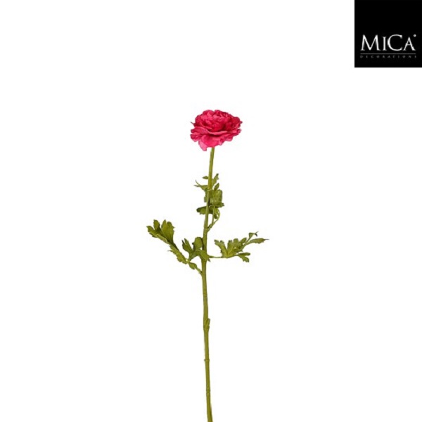 Ranunculus Fuchsia - L56cm 1150719