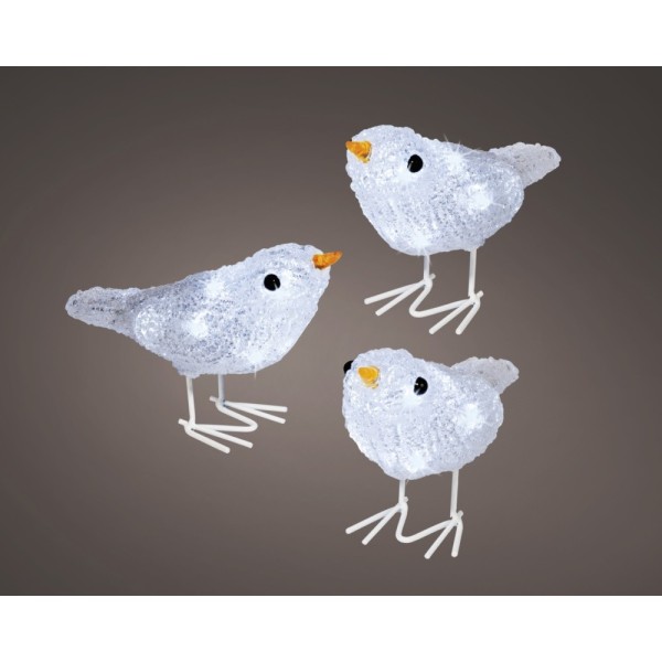LED Acrylic Birds - Set of 3