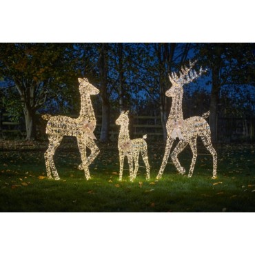 Three Kings Gold Twist Doe - 135cm