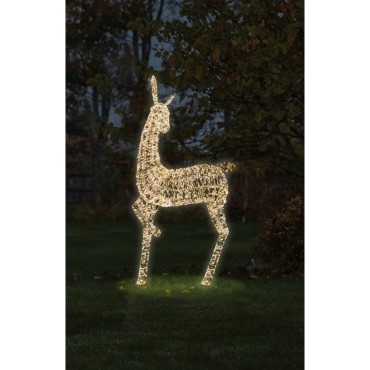 Three Kings Gold Twist Doe - 235cm