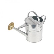Watering Can Galvanised 9l