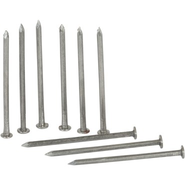 Easi-Fix Round Wire Nails 20kg 100mm