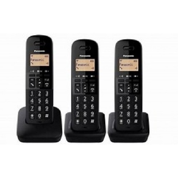 Panasonic Phone Trio Kx-tgb613