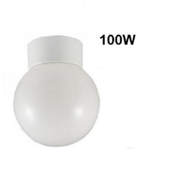 Evolec 100w Bathroom Globe Light Fitting B100wpc