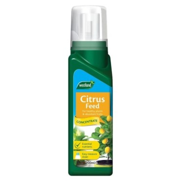 Citrus Feed Concentrate 200ml - Wigig