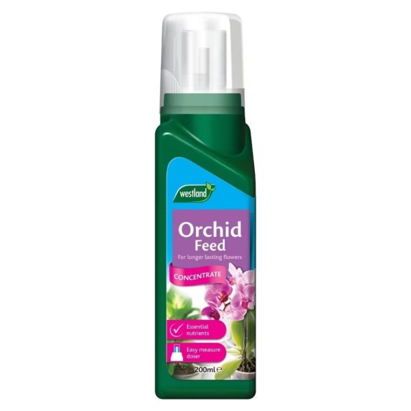 Orchid Feed Concentrate 200ml - Wigig