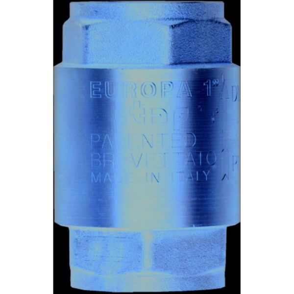 Valve Spring Non Return 1/2 Iron