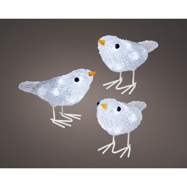 Led Acrylic Birds - Set Of 3