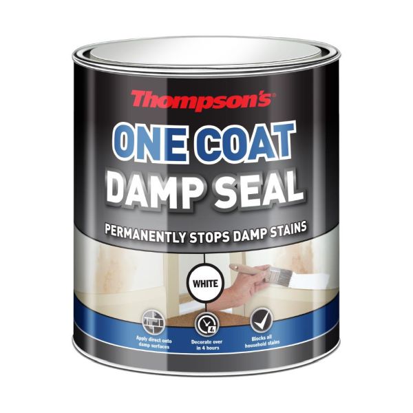 Thompson's One Coat Damp Seal 750ml