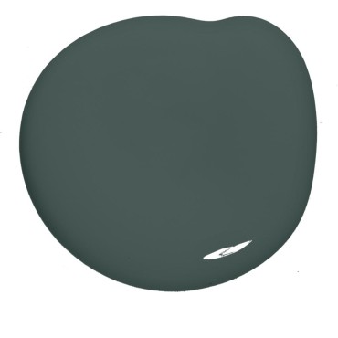 Colourtrend Curragh Green M00806 Interior Matt 5l