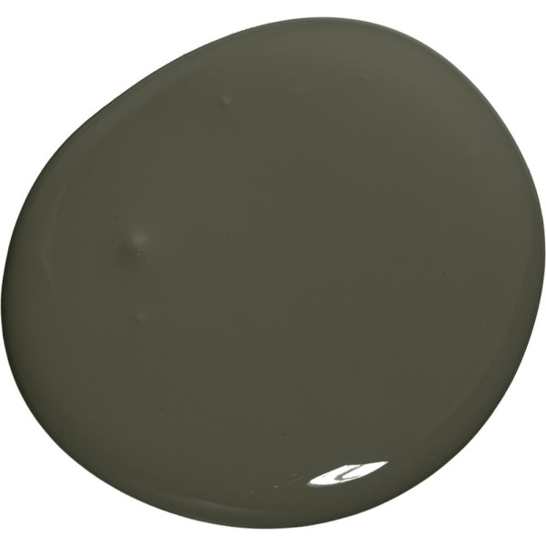 Colourtrend Natterjack M00806 Interior Matt 5l